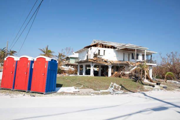 Best Root Management and Removal  in Burt, MI